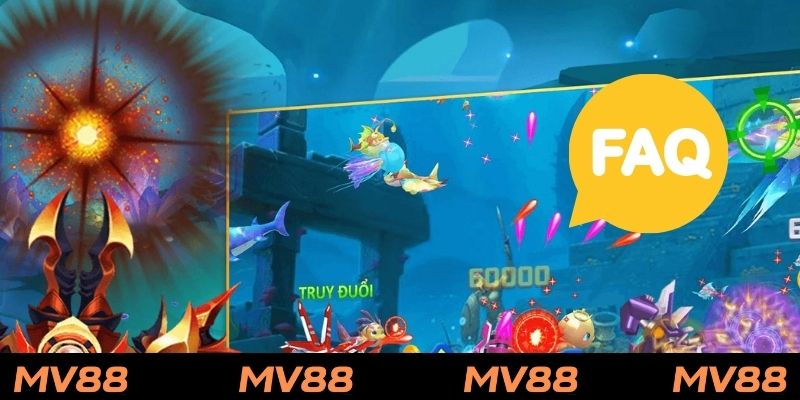 Giải đáp FAQs về dòng game siêu cá nổ hũ