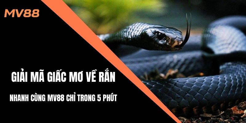 giải mã giấc mơ về rắn