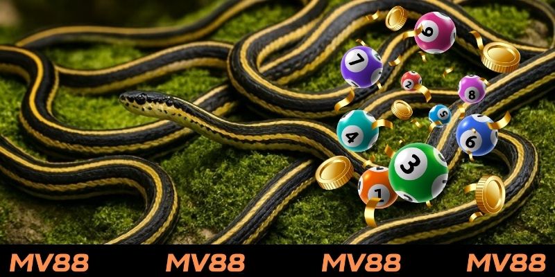 Giải mã giấc mơ về rắn để tìm kiếm con số vận may